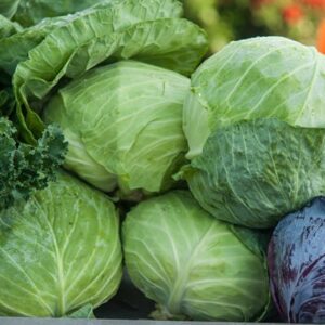 Devtakhet-Natural-Cabbage-Patta Ghobhi