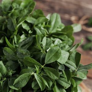 Devtakhet-Natural-Green-Methi-Hari-Methi