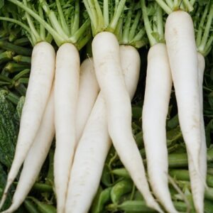 Devtakhet-Natural-Radish-Mooli