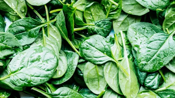 Devtakhet-Organic-Spinach