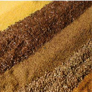 Millets & Pulses